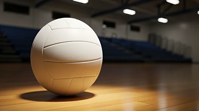 2025 All-Greater Rochester Girls Small School Volleyball Team Revealed