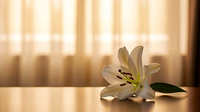 Actress Rachael Carpani Passes Away at 45 After Chronic Illness Battle