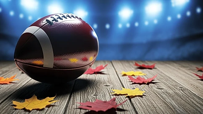 Detroit Lions Face Playoff Uncertainty as Season Nears Conclusion