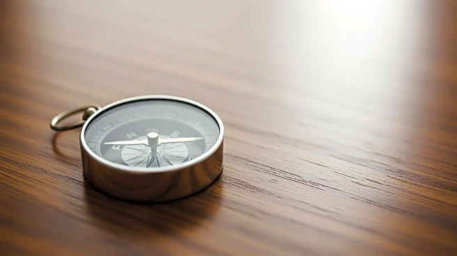 Self-Awareness in Founders: Balancing Traits for Success