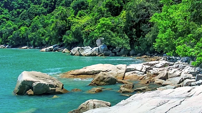Sunshine Coast Council Launches 'Forest Sensing' Exhibit to Enhance Nature Engagement