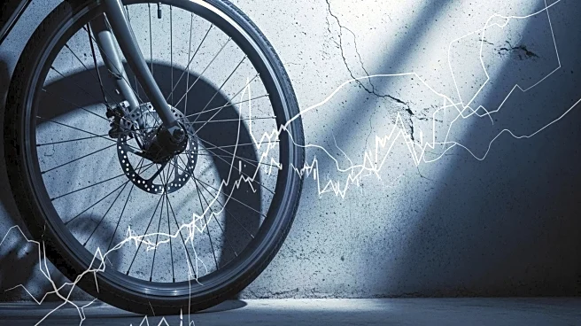 Rad Power Bikes Files for Bankruptcy Amid Financial Struggles and Tariff Disputes