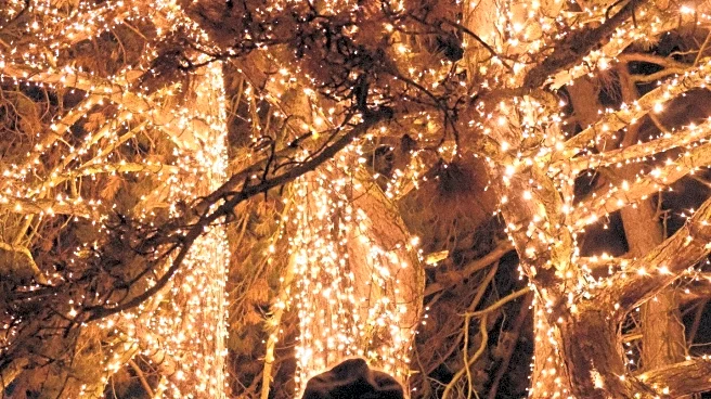 Gillingham Family Raises Funds for Charity with Christmas Light Display