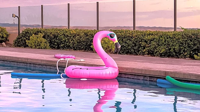 Flamingo Estate's Holiday Pop-Up Highlights Green-Themed Lifestyle Products