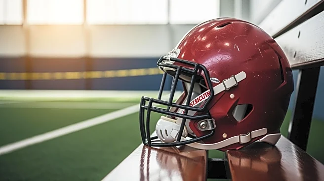 Cardinals' Coach Jonathan Gannon Critiques NFL Practice Rules for Tackling Challenges