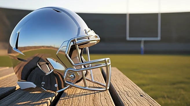 Arizona Cardinals Coach Jonathan Gannon Criticizes NFL Rules for Hindering Tackling Skills