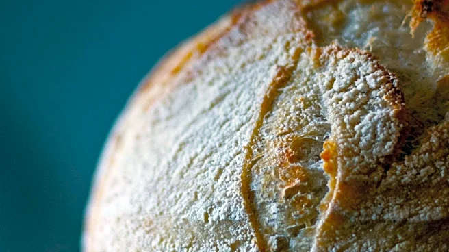 Sourdough Bread's Fermentation Process Enhances Gut Health and Nutrient Absorption