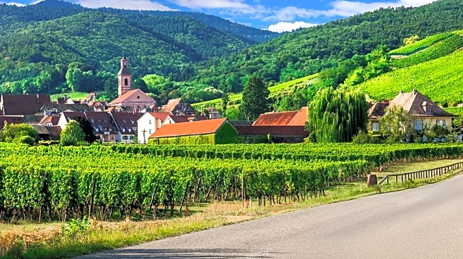 Gen Z Sommeliers Challenge Anti-drinking Trends with Innovative Wine Programs