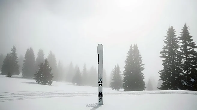 Marco Odermatt Wins Fog-Affected World Cup Downhill in Italy