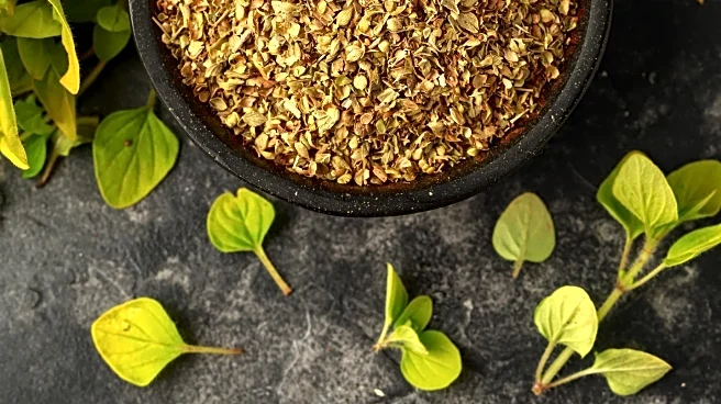 Za’atar Spice Blend Offers Surprising Health Benefits, Experts Say