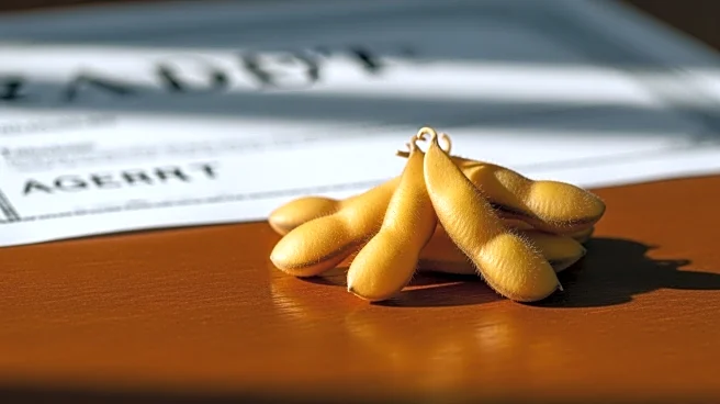 China's Sinograin Accelerates U.S. Soybean Purchases Amid Trade Agreement