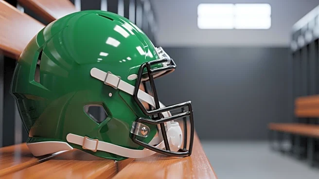 Seahawks' Nick Emmanwori Cleared from Concussion Protocol Ahead of Panthers Game