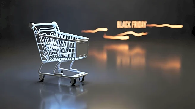 ONS Reports Decline in November Retail Sales Despite Black Friday Boost