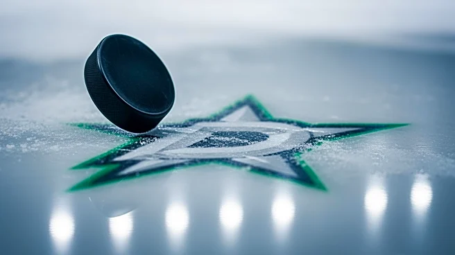 Adam Erne Returns to Dallas Stars, Scores in Victory Over Ducks