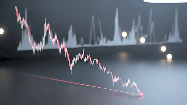 Robinhood Faces Bearish Reversal Amid Market Challenges