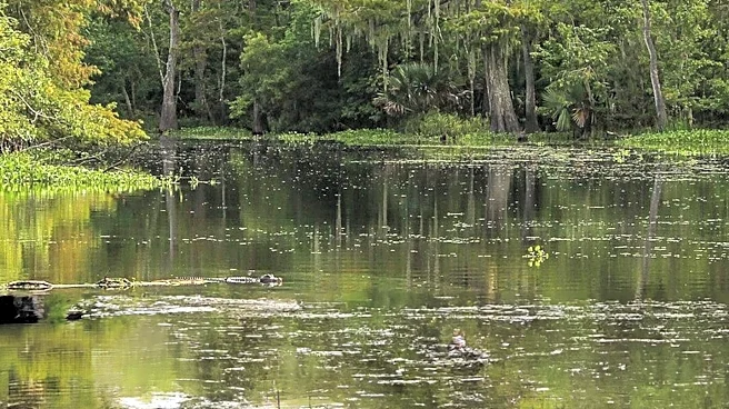 Louisiana Swamp Tourism Gains Popularity Among Adventure Travelers in 2026