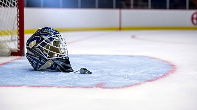 Washington Capitals' Coach's Challenge on Goaltender Interference Upheld Against Detroit Red Wings