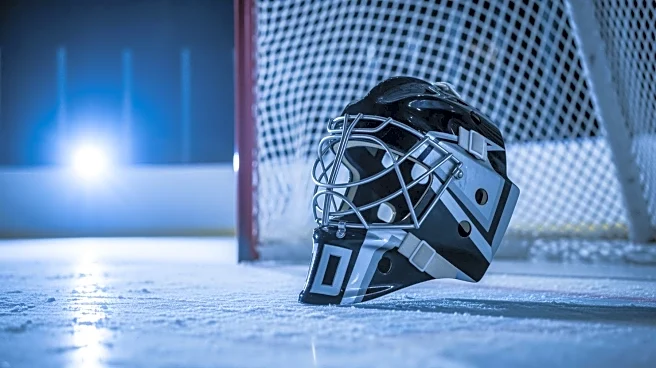 Ducks' Lukas Dostal: Strong Performance Secures Victory Against Blue Jackets