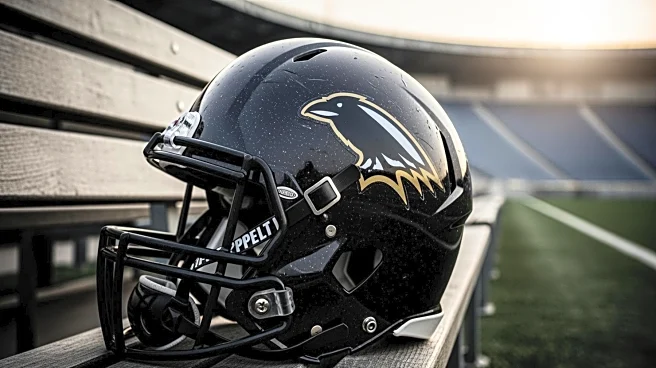 Houston Texans' Defense Draws Comparisons to 2000 Ravens