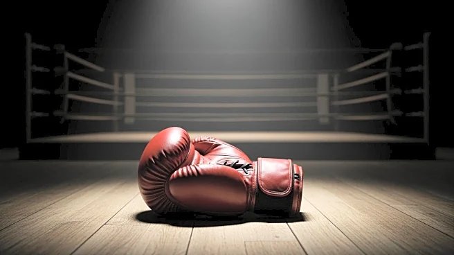 Anthony Joshua Defeats Jake Paul Amidst Heavy Criticism of Boxing's Direction