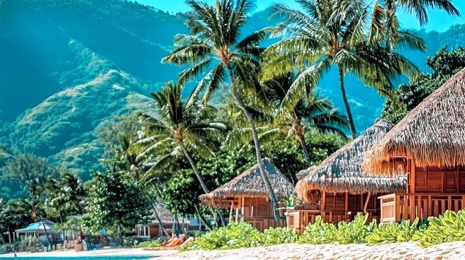 Travelers Find Affordable New Year's 2026 Destinations Amid Popular Demand