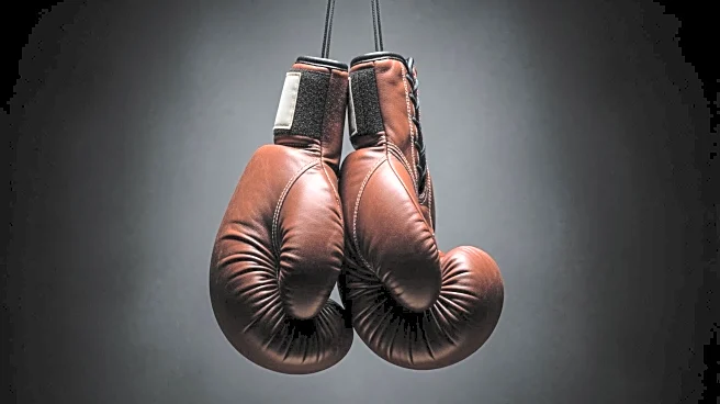 Tyson Fury's Fight with Anthony Joshua Hinges on Financial Agreement, Says Frank Warren