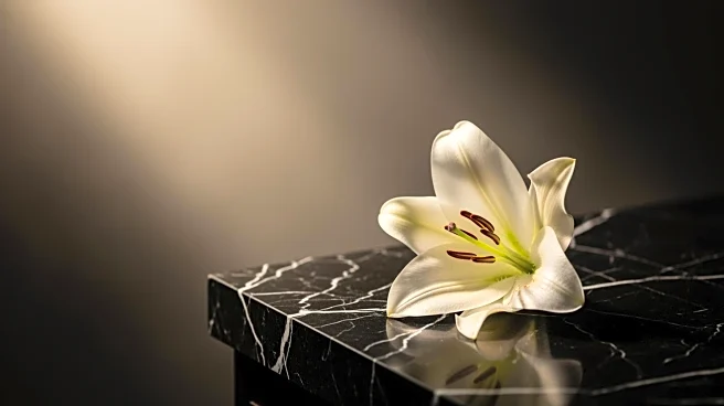 George Clooney Mourns Sister Ada Zeidler's Death at 65 After Cancer Battle