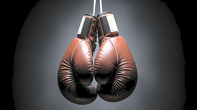 Yoel Romero Challenges Anderson Silva to Boxing Match Following Recent Victories