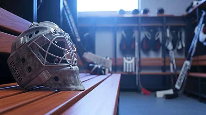 Montreal Canadiens Adjust Goaltending Strategy Amidst Player Changes