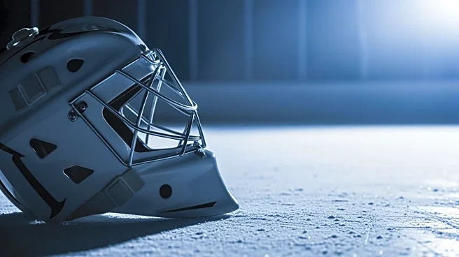 Mammoth's Karel Vejmelka to Face Winnipeg Amid Team's Struggles