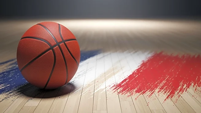 South Carolina Adds French Pro Alicia Tournebize to Bolster Women's Basketball Roster