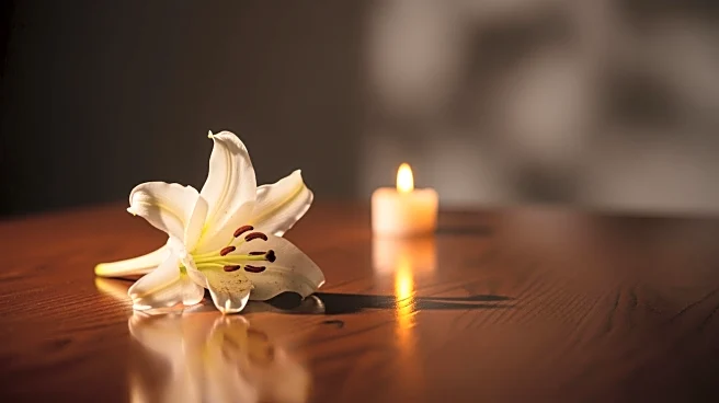 James Ransone's Widow Shares Heartfelt Tribute Following Actor's Suicide