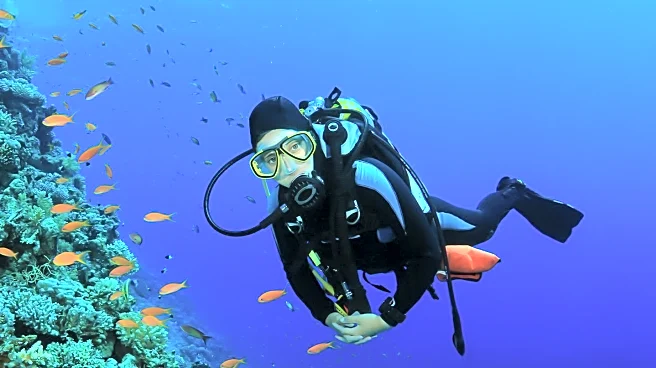 Adapt-Able Foundation Empowers Individuals with Special Needs Through Scuba Diving
