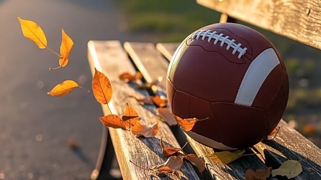 West Virginia University Football Faces Major Roster Changes Amid Transfer Portal Activity