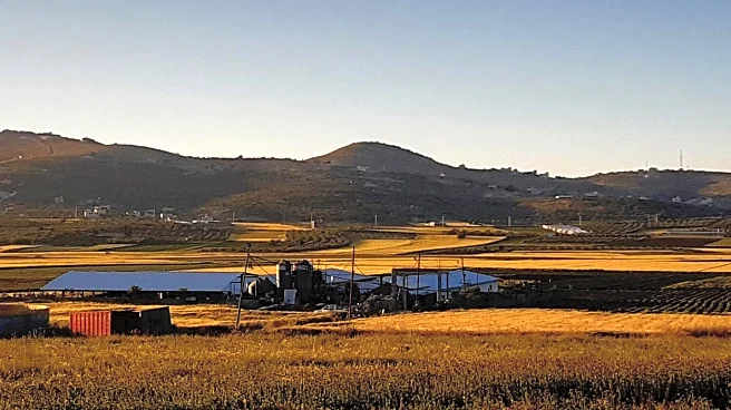 Digital Detox: Embracing Offline Life in Colorado's Ranch Country