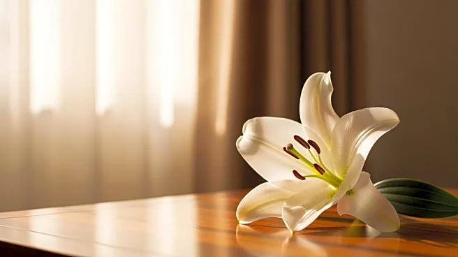 Michael Bolton's Daughters Report Singer in 'Very Good Health' Amid Brain Cancer Battle