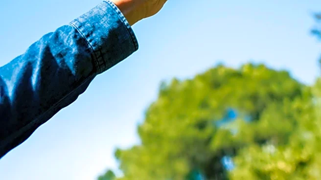 Study Reveals Impact of Pointing Gestures in Old Master Paintings on Viewer Attention