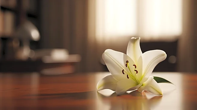 Bart Story, Entertainment Research Executive, Passes Away at 63 Due to Cancer