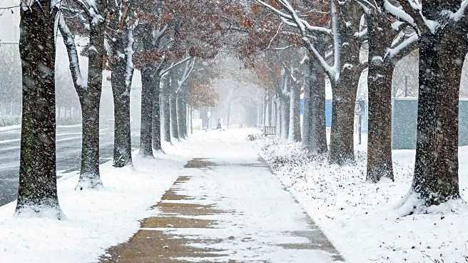 Irons Oaks Holiday Walk Thrives Despite Cold Weather Challenges