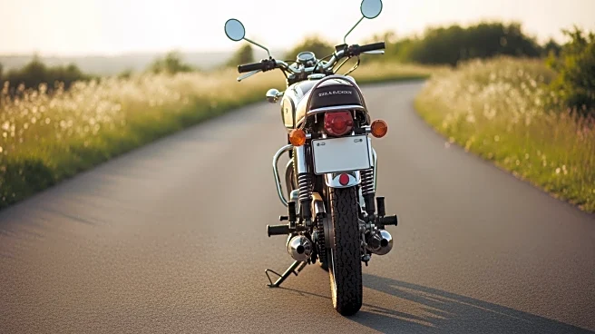 Romantic Comedy 'Pillion' Captivates Audiences with Unique Storyline