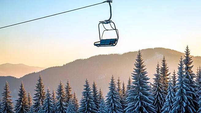 Former Germany Youth International Sebastian Hertner Dies in Chairlift Accident