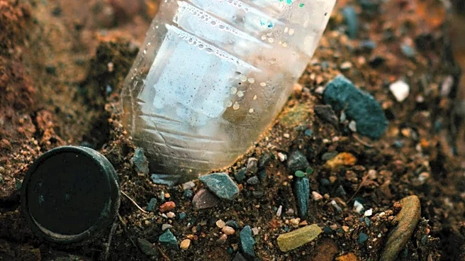 Plum Island Museum Uses Washed-Up Treasures to Educate on Plastic Waste