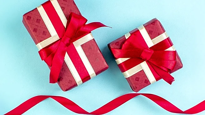 Holiday Gift Returns: Tips to Avoid Extra Fees