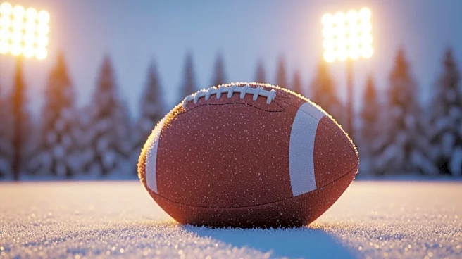 Max Brosmer Achieves Unique NFL Record in Vikings' Christmas Victory Over Lions