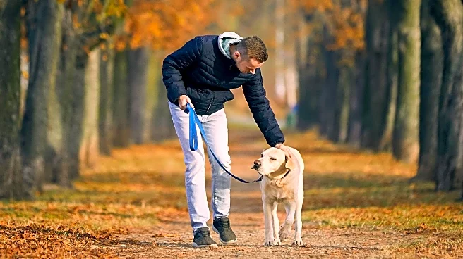 Dog Walker Fulfills Terminal Client's Last Wish by Caring for Beloved Pet