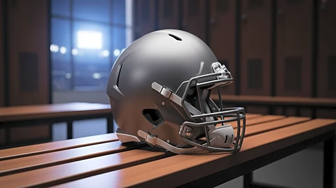 LSU Interim Coach Frank Wilson III Prepares for Texas Bowl Against Houston