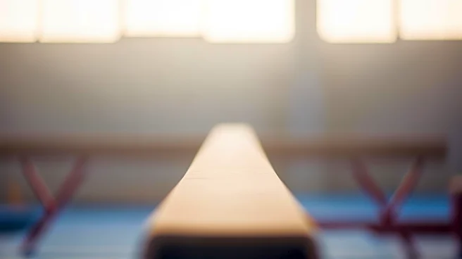 Brazilian Gymnast Isabelle Marciniak Passes Away at 18 Due to Illness