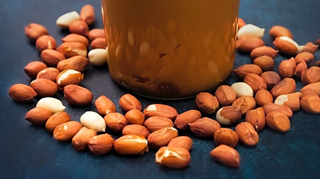 Peanut Butter's Protein Content Analyzed Amid Dietary Trends