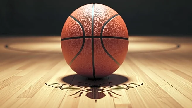 NBA Hall of Famer Dwayne Wade Comments on Charlotte Hornets' Performance