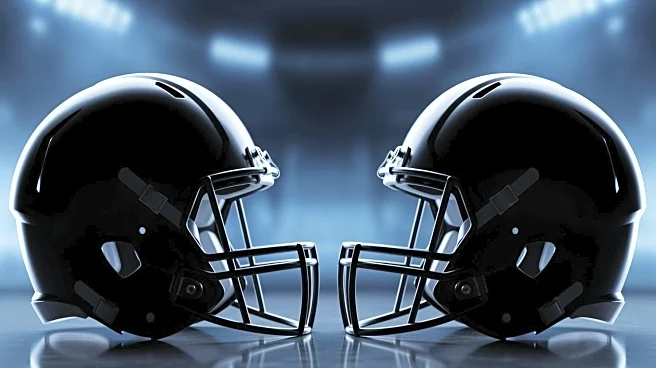 NFC South Division Title Race Intensifies as Panthers and Buccaneers Battle for Playoff Spot